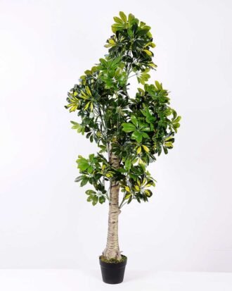 50*120CM Seven?star?tree GS-3040063