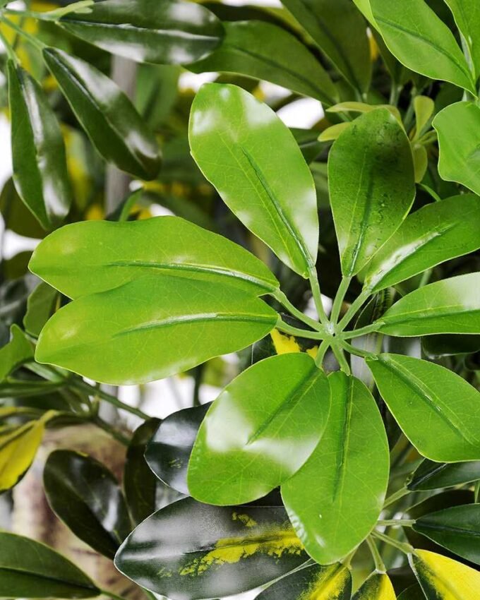 50*120CM Seven?star?tree GS-3040063