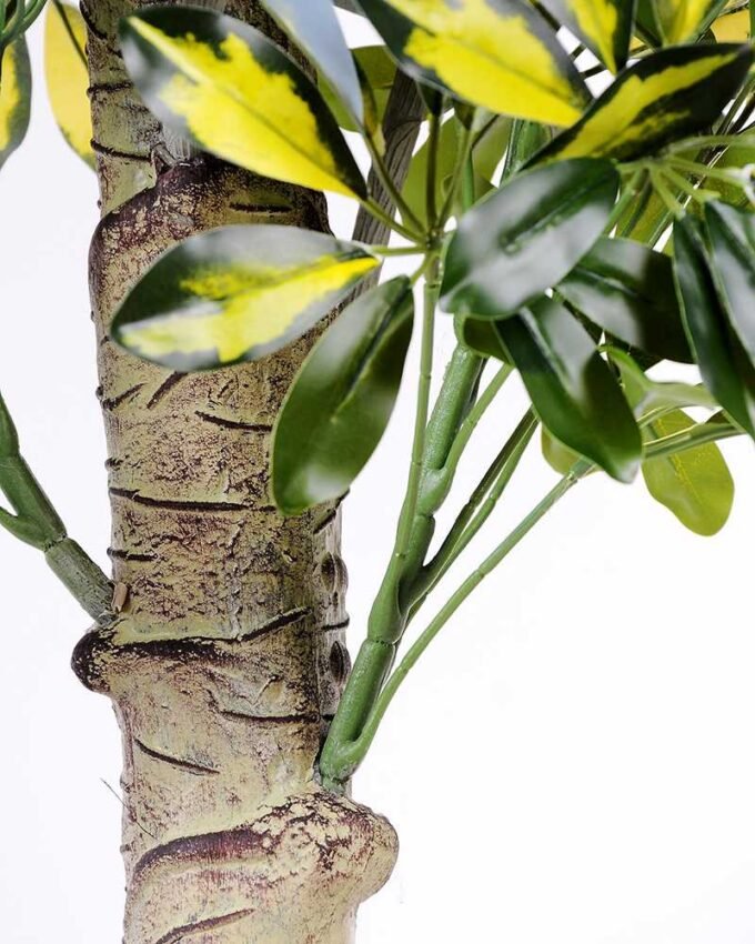 50*120CM Seven?star?tree GS-3040063