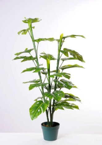 110CM Leaf of curvature of the tree GS-3040066