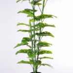 140CM Leaf of curvature of the tree GS-3040067