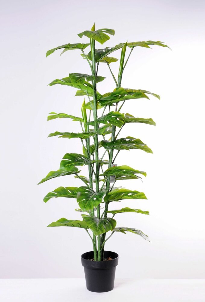 140CM Leaf of curvature of the tree GS-3040067