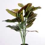 95CM peacock tree GS-3040069
