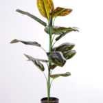 105CM peacock tree GS-3040070