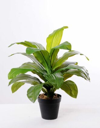 42CM Brazilian iron tree GS-3040073 Tree&Plant YeahFlower is one of Chinese leading OEM manufacturers and exporters , supplying the silk flowers, wholesale artificial trees 42CM Brazilian iron tree GS-3040073