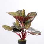 44CM peacock tree GS-3040074
