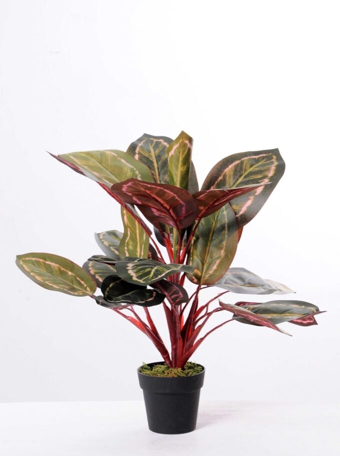 44CM peacock tree GS-3040074