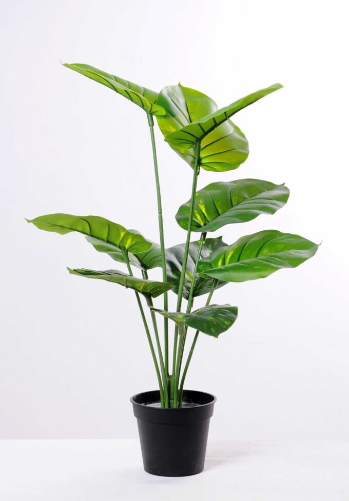 60CM Money plant leaf tree GS-3040075