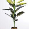 88CM Evergreen tree GS-3040076 1 88CM Evergreen tree GS-3040076
