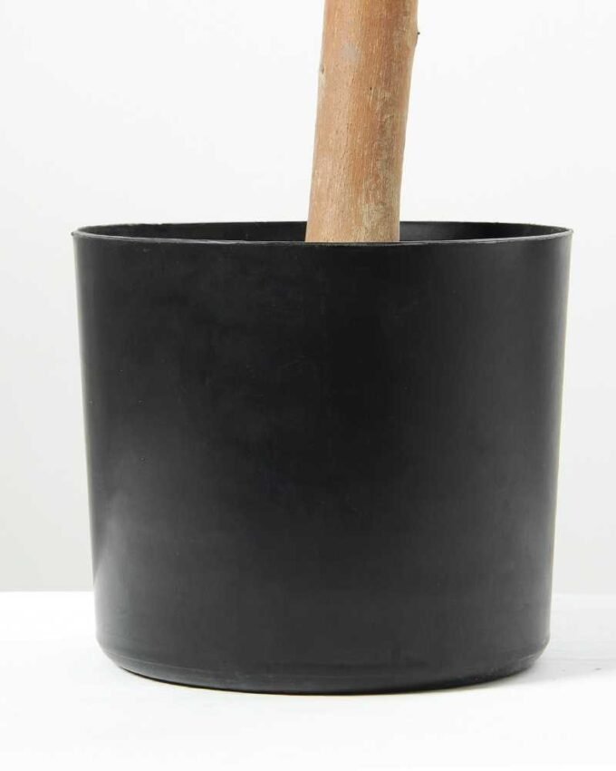 115cm Laurus tree (feeling touch)with plastic pot/1000 LVS GS-3060001