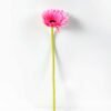 10*37CM single chrysanthemum GS-3120022