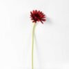 10*37CM single chrysanthemum GS-3120022