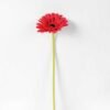 10*37CM single chrysanthemum GS-3120022