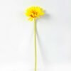 10*37CM single chrysanthemum GS-3120022