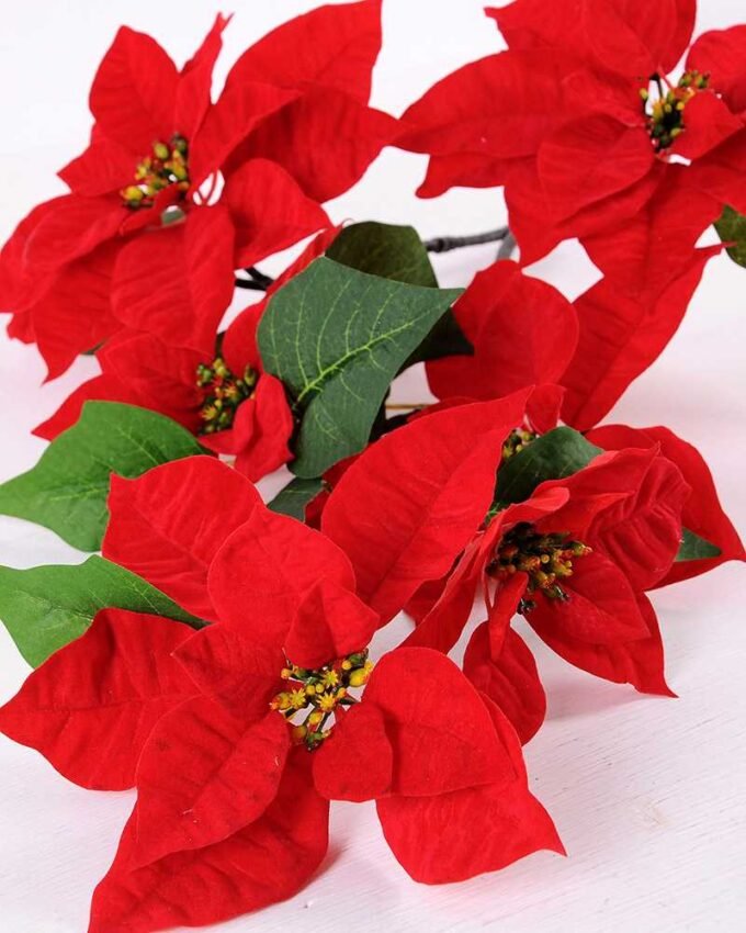 Christmas flower*7 GS-3120025