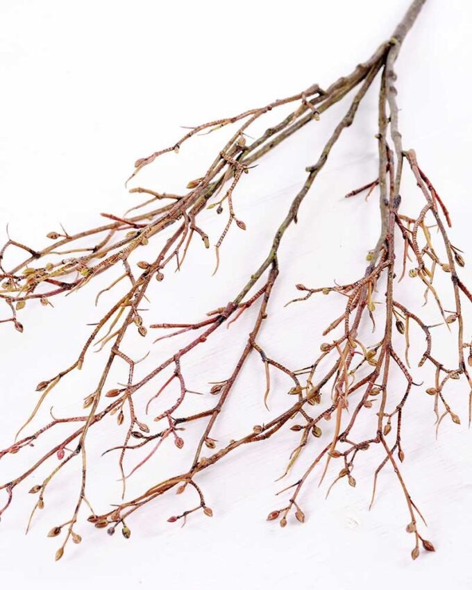 Deadwood Spray *12 GS-3120026