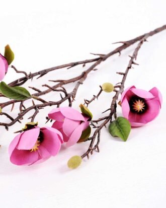 Magnolia denudata*6 GS-3120027-Z1