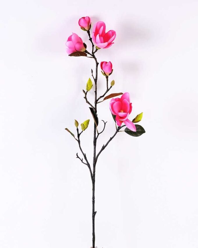 Magnolia denudata*5 GS-3120028-P1