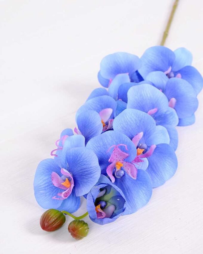 14*95CM Feeling butterfly orchid*11(S) GS-3130009-B1