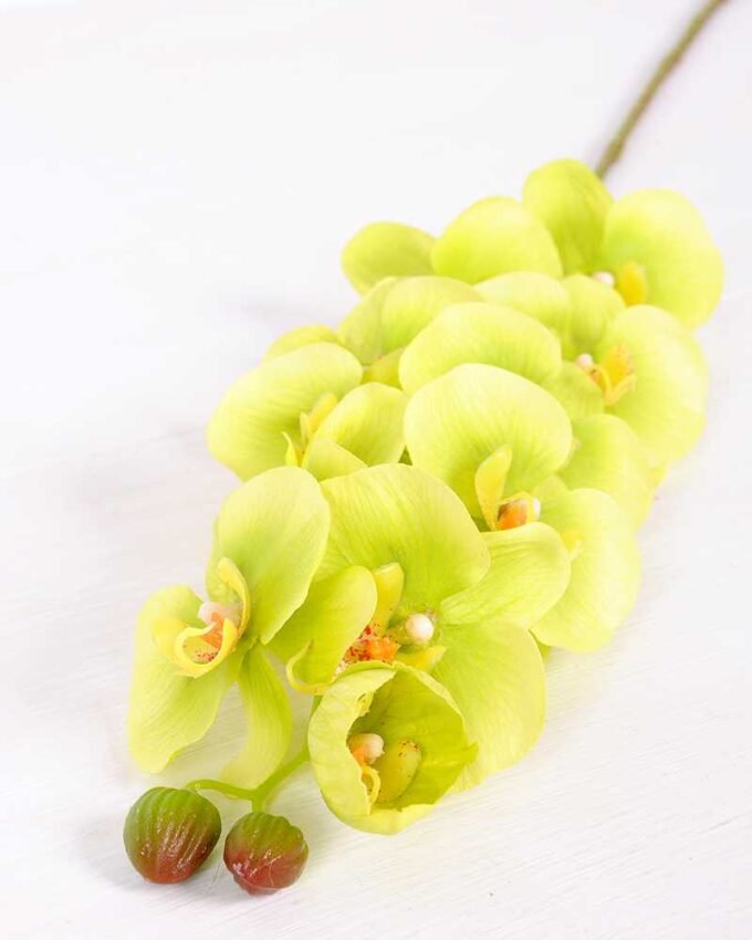 14*95CM Feeling butterfly orchid*11(S) GS-3130009-G1