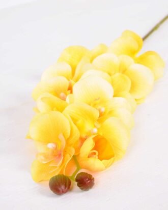 14*95CM Feeling butterfly orchid*11(S) GS-3130009-O1 Single Flowers YeahFlower is one of Chinese leading OEM manufacturers and exporters , supplying the silk flowers, wholesale artificial trees 14*95CM Feeling butterfly orchid*11(S) GS-3130009-O1