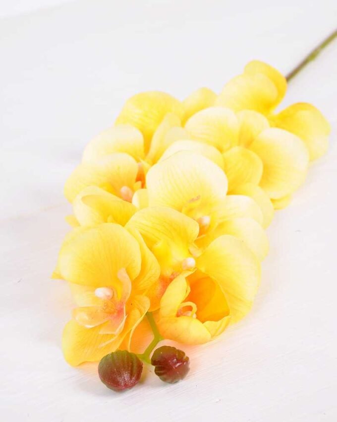 14*95CM Feeling butterfly orchid*11(S) GS-3130009-O1 2 14*95CM Feeling butterfly orchid*11(S) GS-3130009-O1