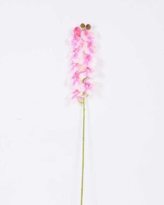 14*95CM Feeling butterfly orchid*11(S) GS-3130009-P1