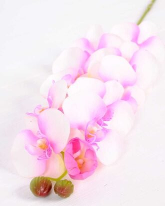 14*95CM Feeling butterfly orchid*11(S) GS-3130009-P1