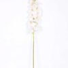 14*95CM Feeling butterfly orchid*11(S) GS-3130009-W1