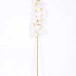 14*95CM Feeling butterfly orchid*11(S) GS-3130009-W1