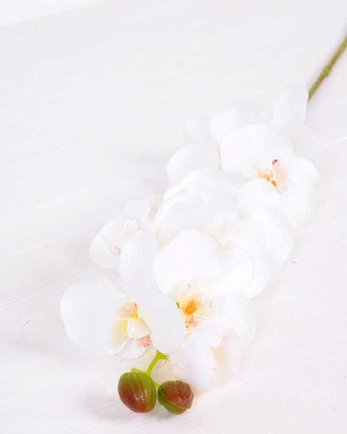 14*95CM Feeling butterfly orchid*11(S) GS-3130009-W1