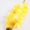 14*95CM Feeling butterfly orchid*11(S) GS-3130009-Y1