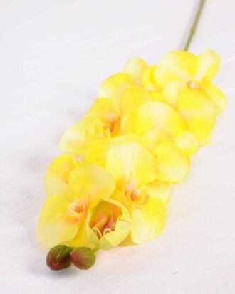 14*95CM Feeling butterfly orchid*11(S) GS-3130009-Y1 Single Flowers YeahFlower is one of Chinese leading OEM manufacturers and exporters , supplying the silk flowers, wholesale artificial trees 14*95CM Feeling butterfly orchid*11(S) GS-3130009-Y1