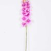14*95CM Feeling butterfly orchid*11(S) GS-3130009-Z2