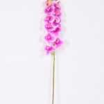 14*95CM Feeling butterfly orchid*11(S) GS-3130009-Z2