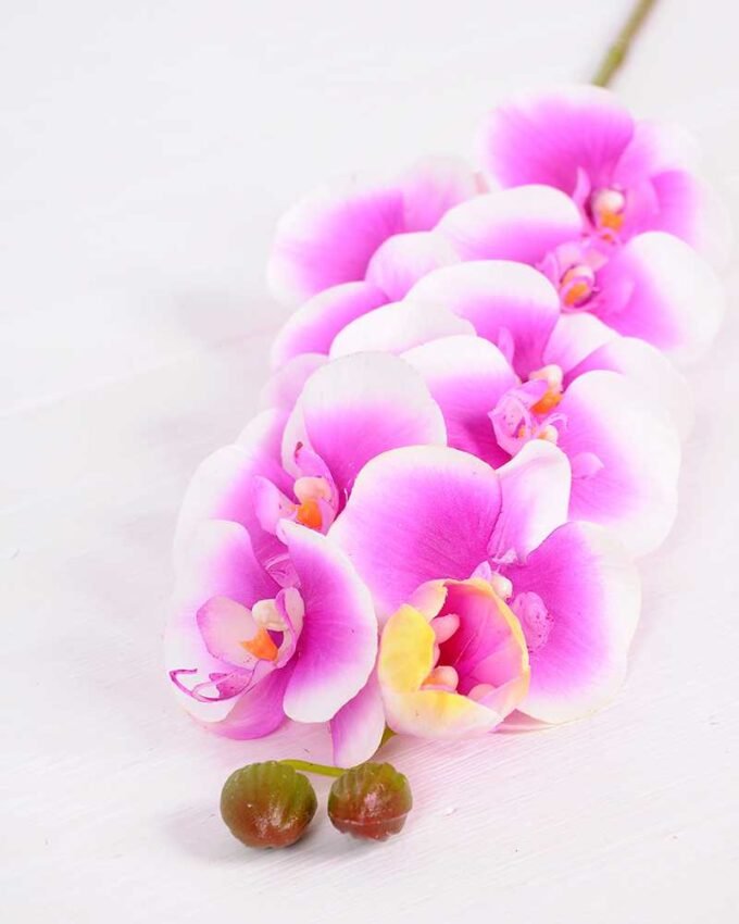 14*95CM Feeling butterfly orchid*11(S) GS-3130009-Z2