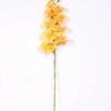 19*102CM Feeling butterfly orchid*9 GS-3130010-O1