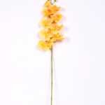 19*102CM Feeling butterfly orchid*9 GS-3130010-O1