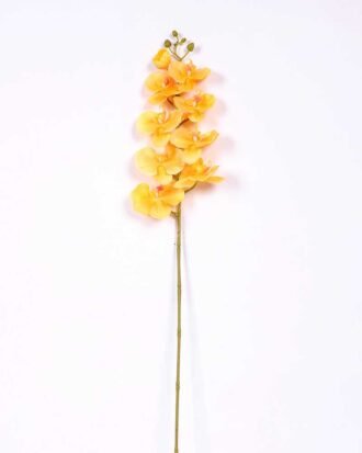 19*102CM Feeling butterfly orchid*9 GS-3130010-O1