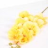 19*102CM Feeling butterfly orchid*9 GS-3130010-O1