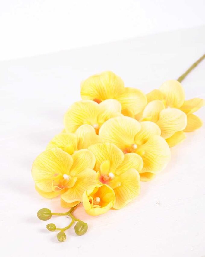 19*102CM Feeling butterfly orchid*9 GS-3130010-O1