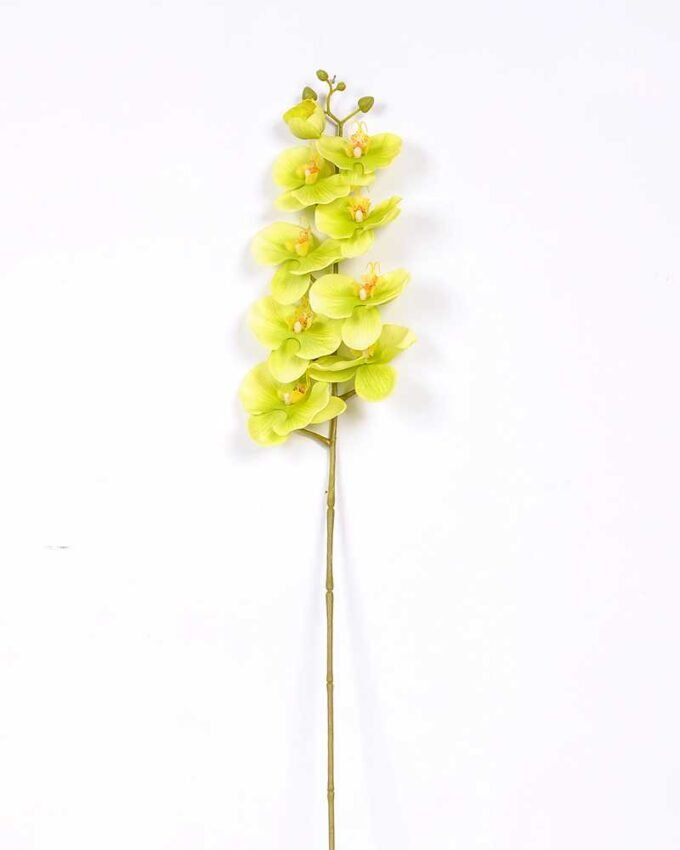 19*102CM Feeling butterfly orchid*9 GS-3130010-O1