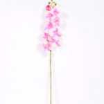 19*102CM Feeling butterfly orchid*9 GS-3130010-P1