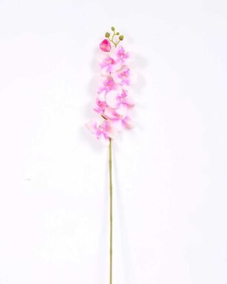 19*102CM Feeling butterfly orchid*9 GS-3130010-P1