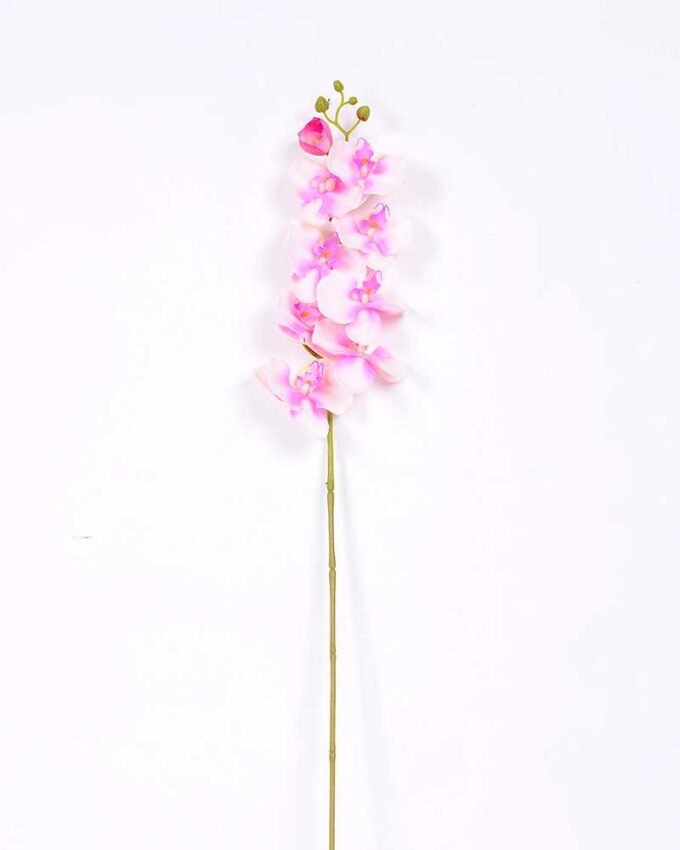 19*102CM Feeling butterfly orchid*9 GS-3130010-P1