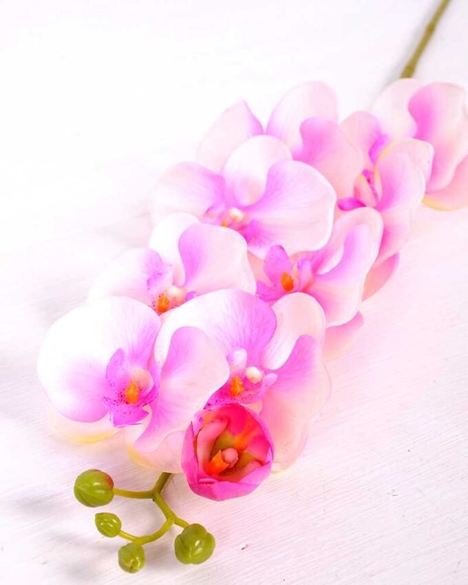 19*102CM Feeling butterfly orchid*9 GS-3130010-P1