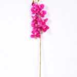 19*102CM Feeling butterfly orchid*9 GS-3130010-R1