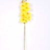 19*102CM Feeling butterfly orchid*9 GS-3130010-Y1