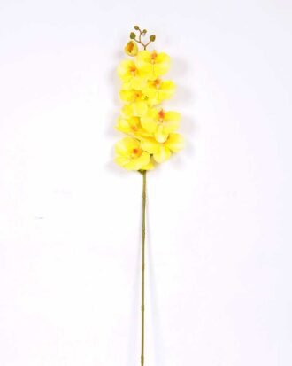 19*102CM Feeling butterfly orchid*9 GS-3130010-Y1
