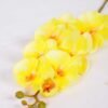 19*102CM Feeling butterfly orchid*9 GS-3130010-Y1